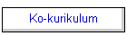 Ko-kurikulum