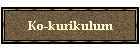 Ko-kurikulum