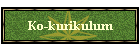 Ko-kurikulum