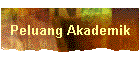 Peluang Akademik